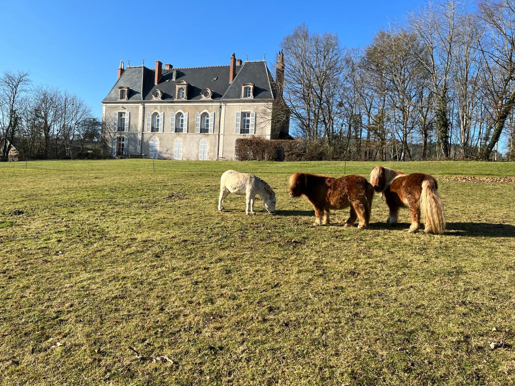 Chateau De Vaux Morvan Etang-sur-Arroux Экстерьер фото