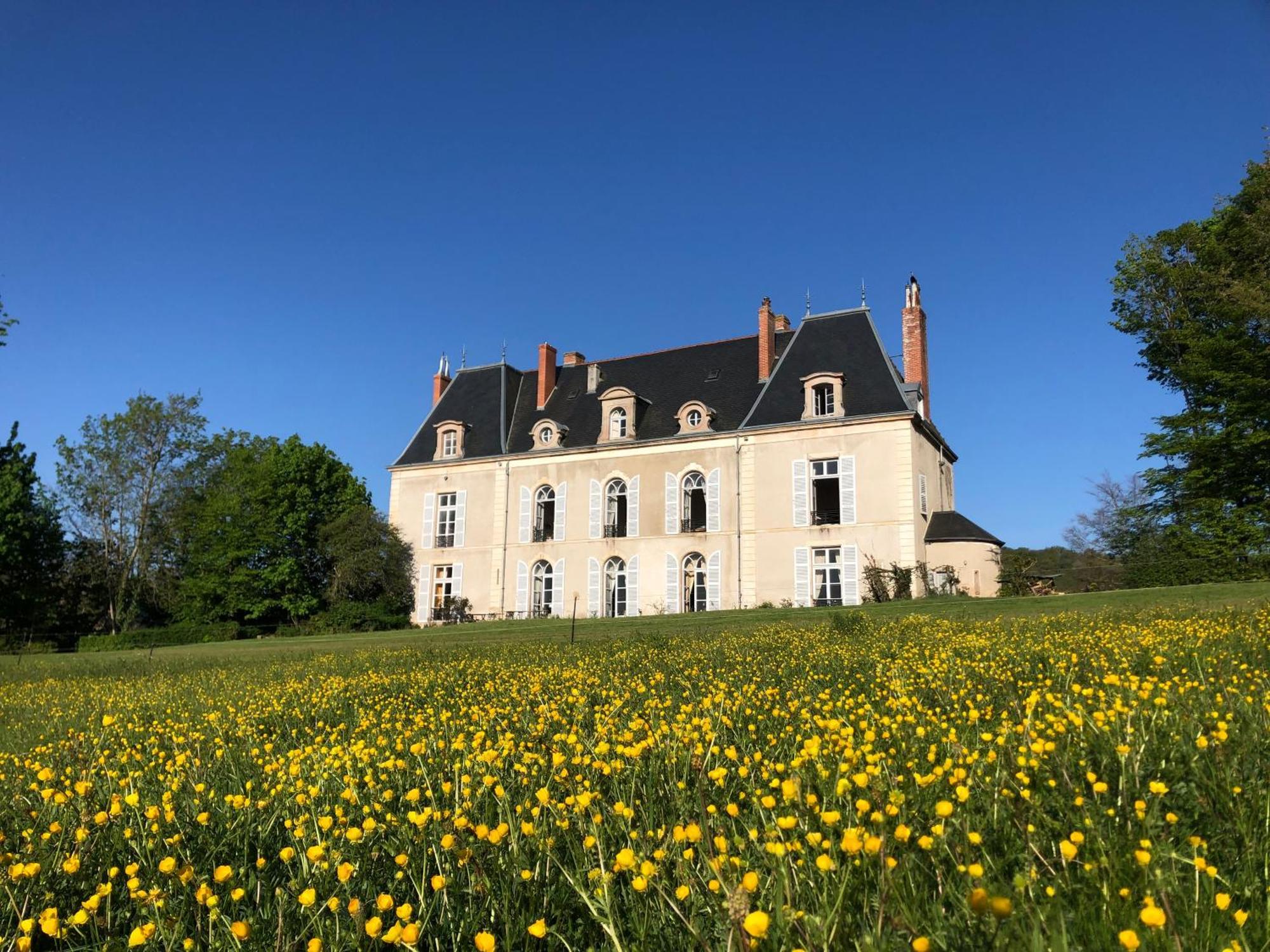 Chateau De Vaux Morvan Etang-sur-Arroux Экстерьер фото